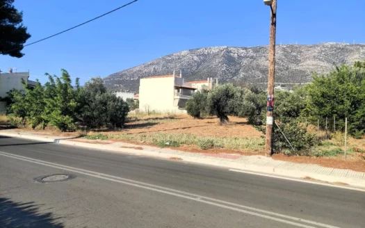 Οικόπεδο, 1037 τ.μ.