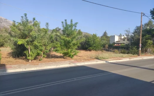 Οικόπεδο, 1037 τ.μ.